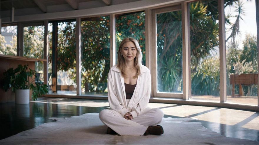 Kẻ Cầm Đầu: Vụ Án Băng Trộm Hàng Hiệu