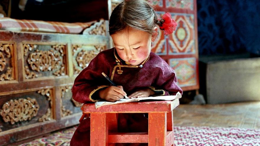 Hang Của Chú Chó Vàng