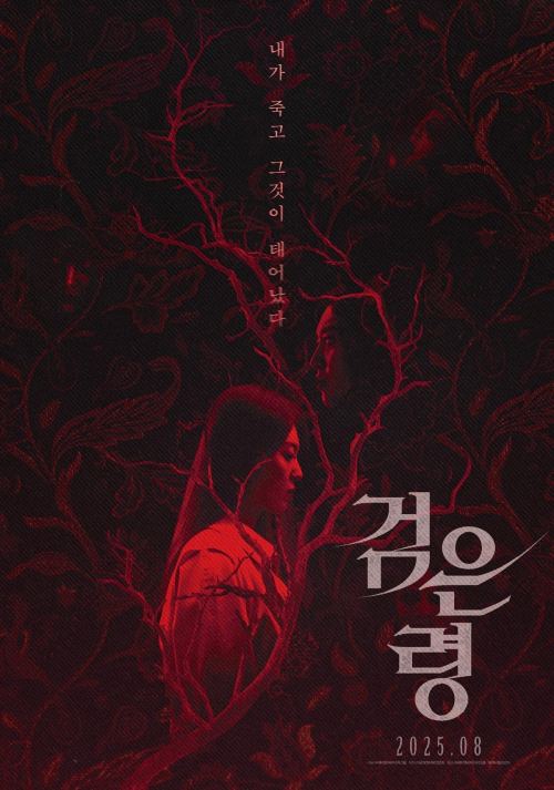 Oán Hồn Trong Vali